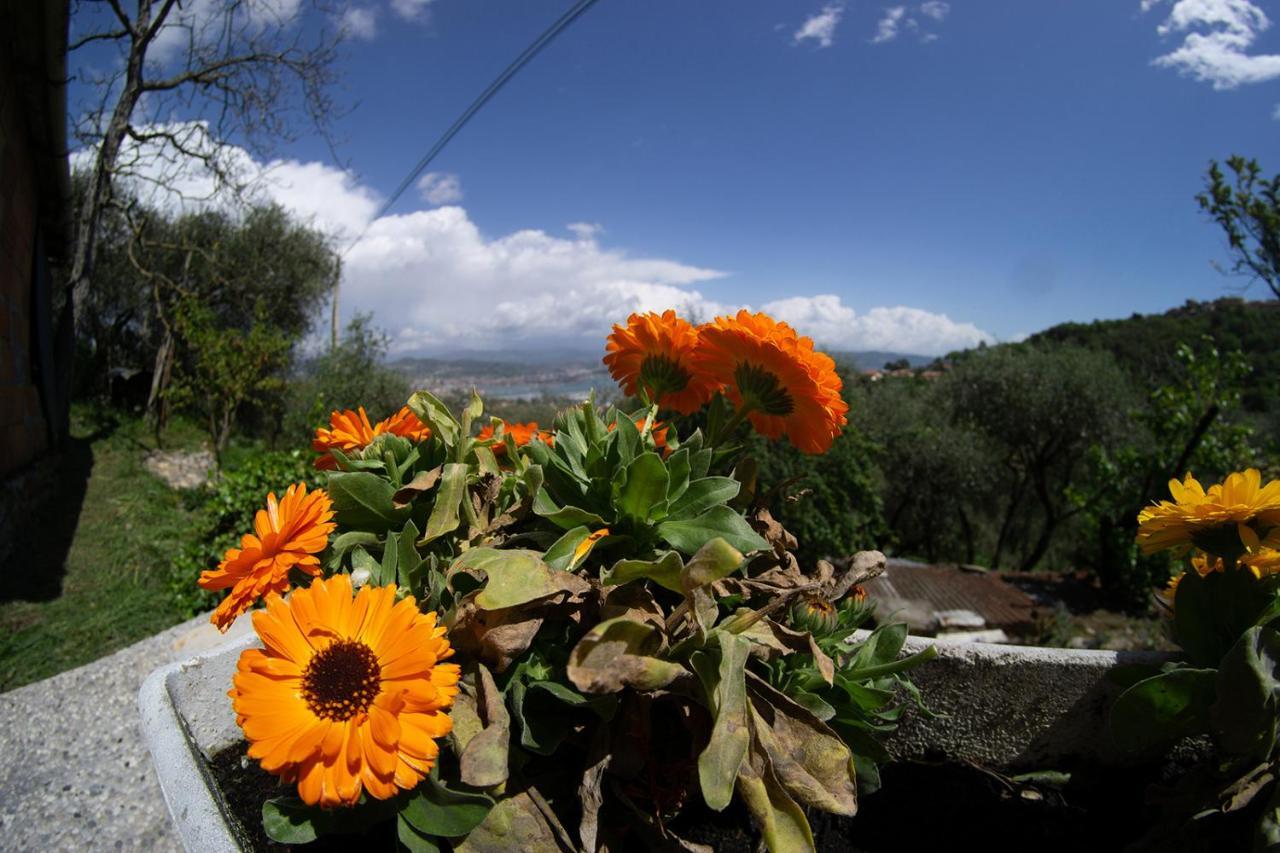Apartment Gli Ulivi Sul Golfo E Le 5 Terre *