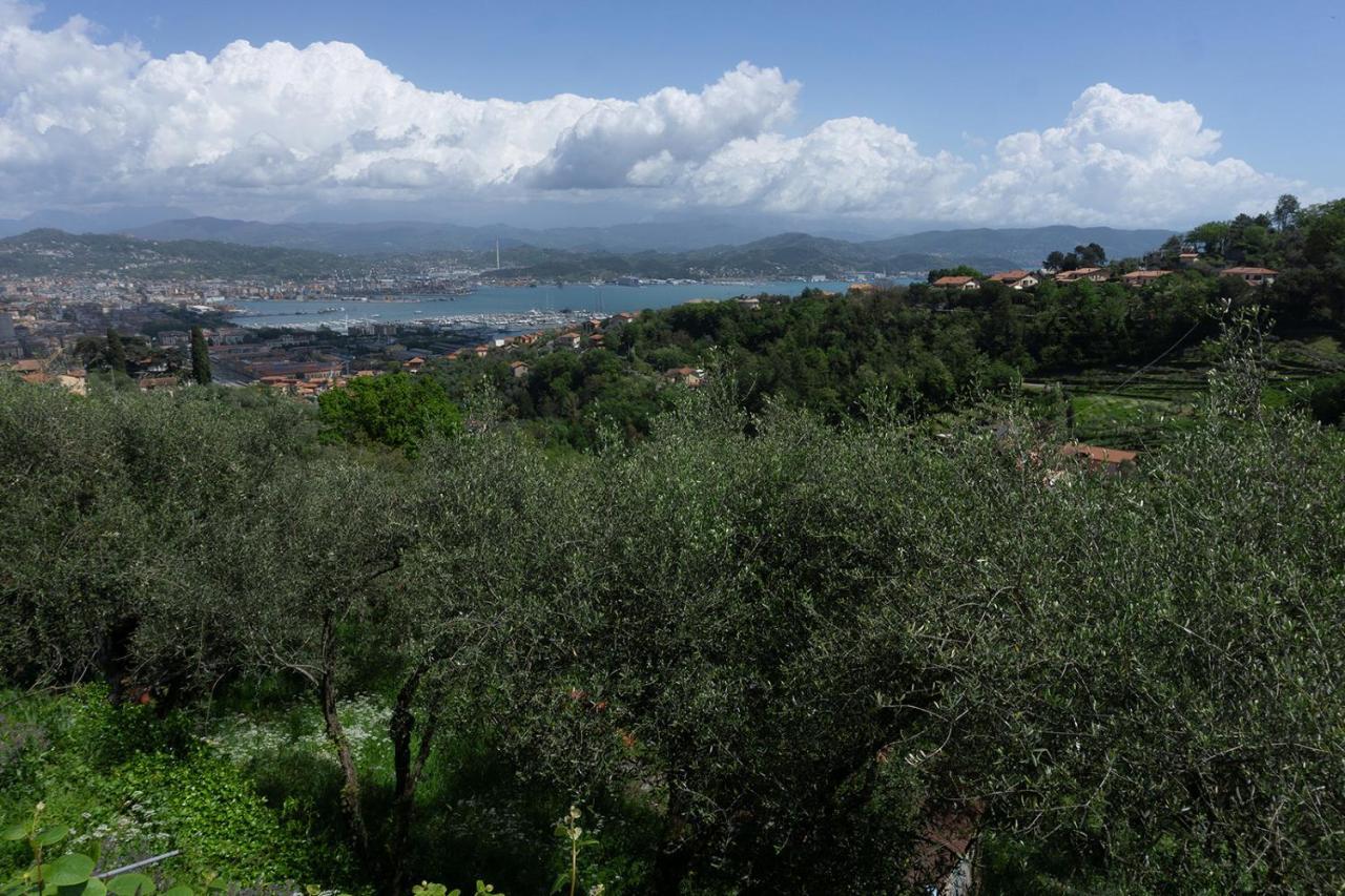 Gli Ulivi Sul Golfo E Le 5 Terre