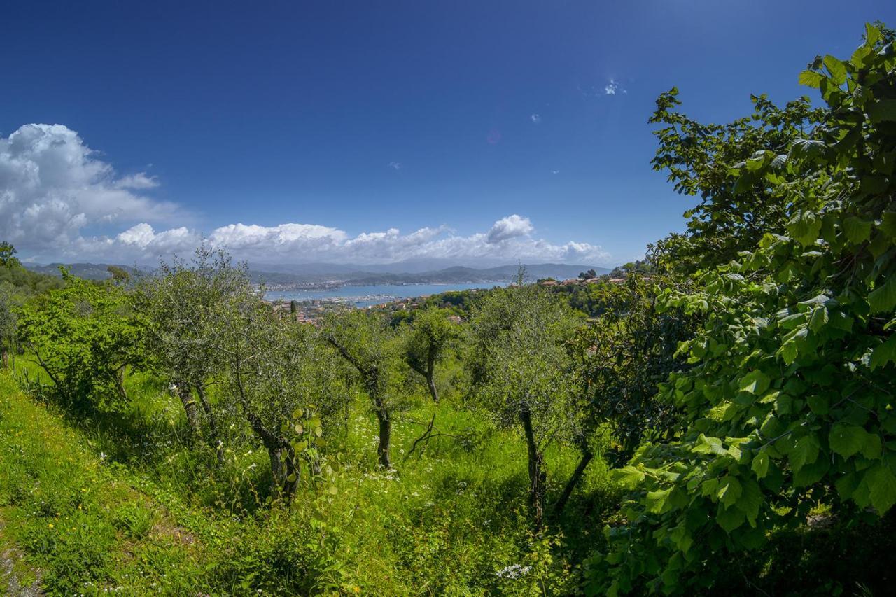 Gli Ulivi Sul Golfo E Le 5 Terre Apartment
