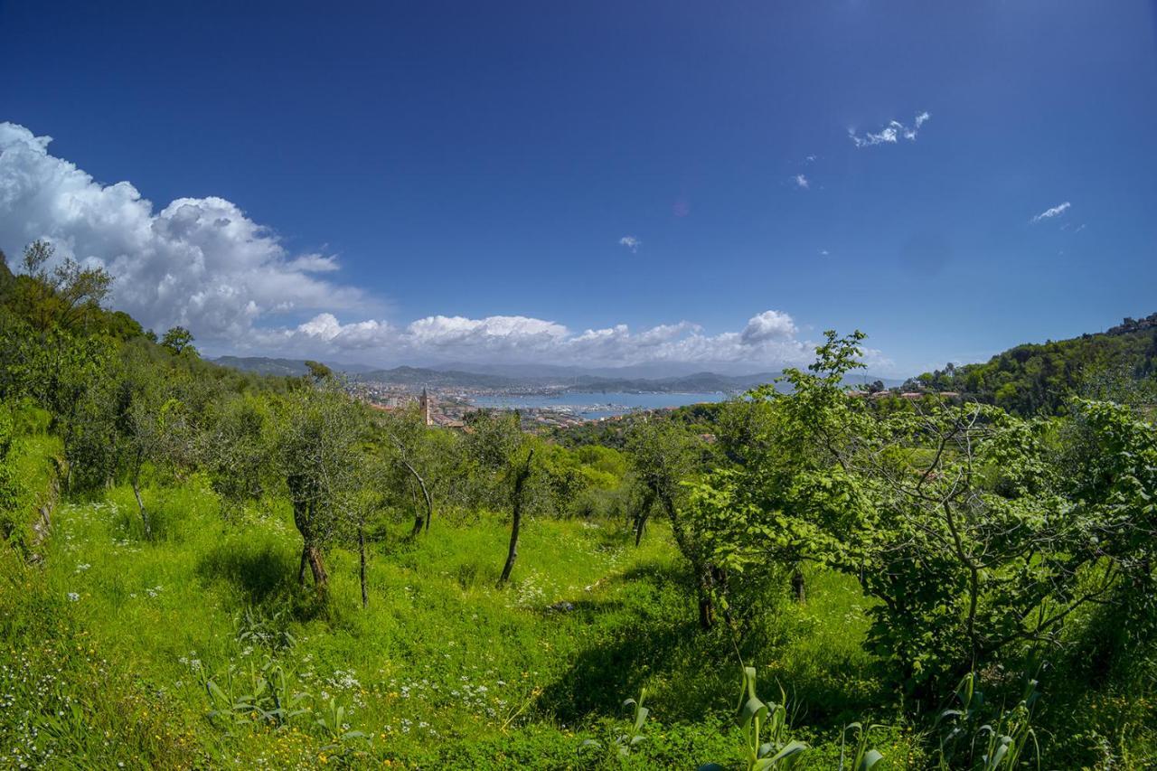 Gli Ulivi Sul Golfo E Le 5 Terre Apartment *